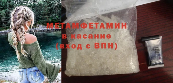 прущие грибы Вязьма