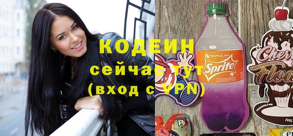 шишки Бородино