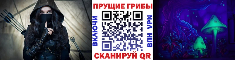darknet наркотические препараты  hydra как войти  Завитинск  Псилоцибиновые грибы ЛСД 
